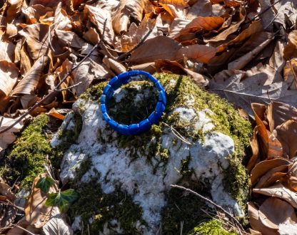sleak lapis lazuli bracelet with a deep color